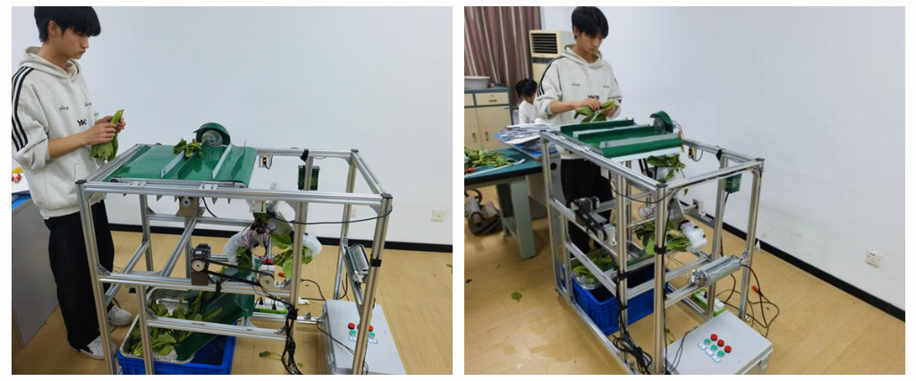 集约净萃：智能技术破解叶菜加工难题 以科技创新赋能现代农业高质量发展