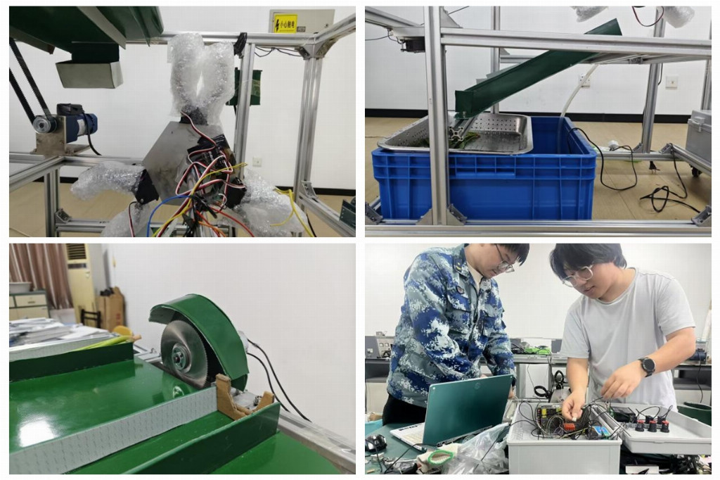 集约净萃：智能技术破解叶菜加工难题 以科技创新赋能现代农业高质量发展