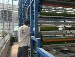 “稻” 梦空间：立体育秧智控工厂搭起黑土地 “空中粮仓”—— 智能算法破局寒地水稻育秧 “三率难题”