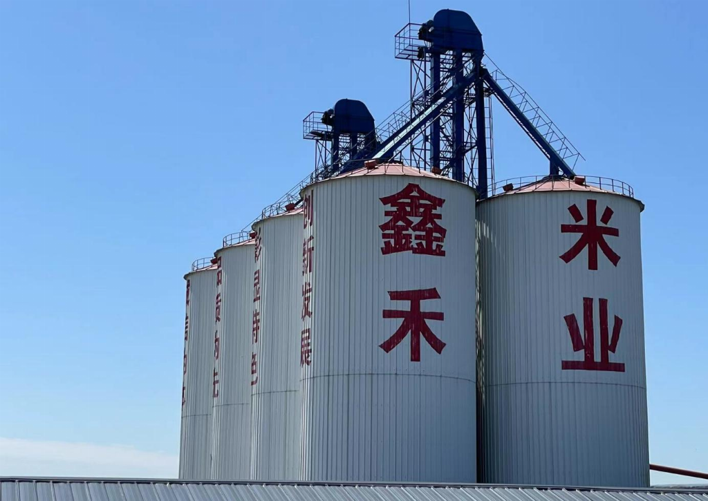 五常纯正稻花香批发 以诚信品质助力行