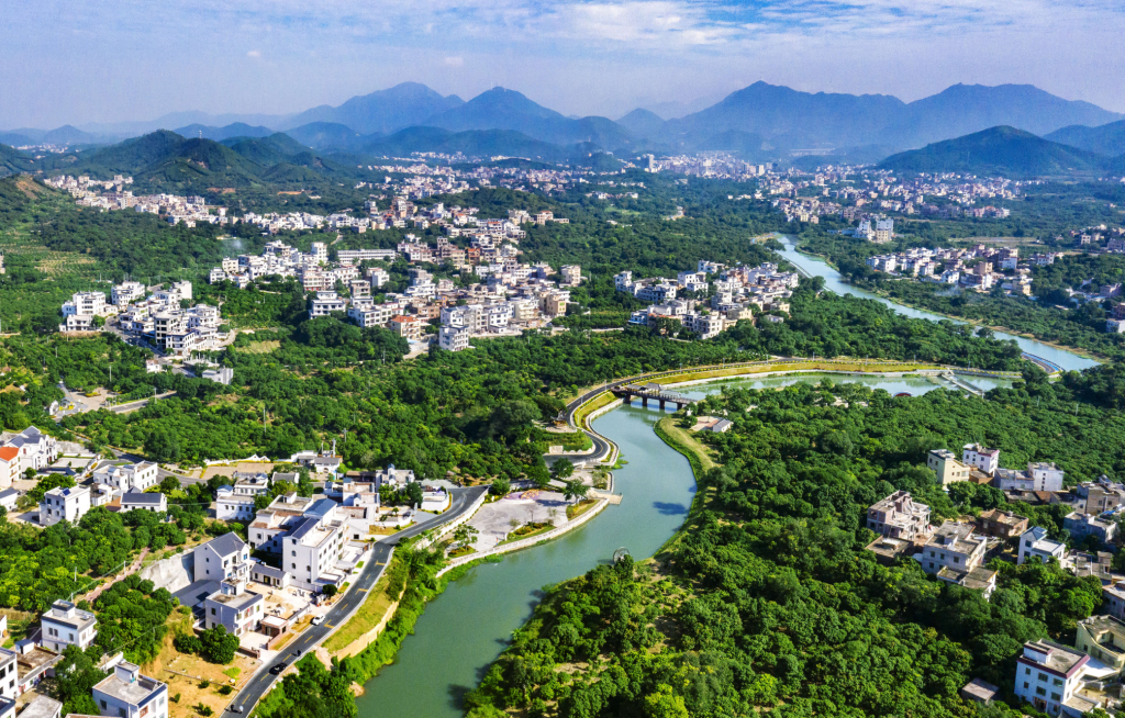 化橘红哪个牌子最值得买？2026高保值实测，闭眼入不亏选购指南