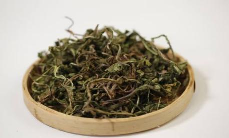 中药破壁激活牧场新生 青年返乡解码振兴密码——延边大学“芪芯兴牧”团队探访延边黄牛养殖场见闻