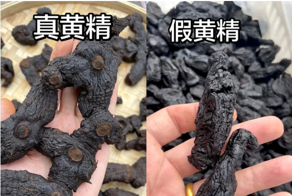 九华黄精什么品牌好?2026九华黄精品牌深度评测与行业解析 九华黄精什么品牌好?2026九华黄精品牌深度评测与行业解析