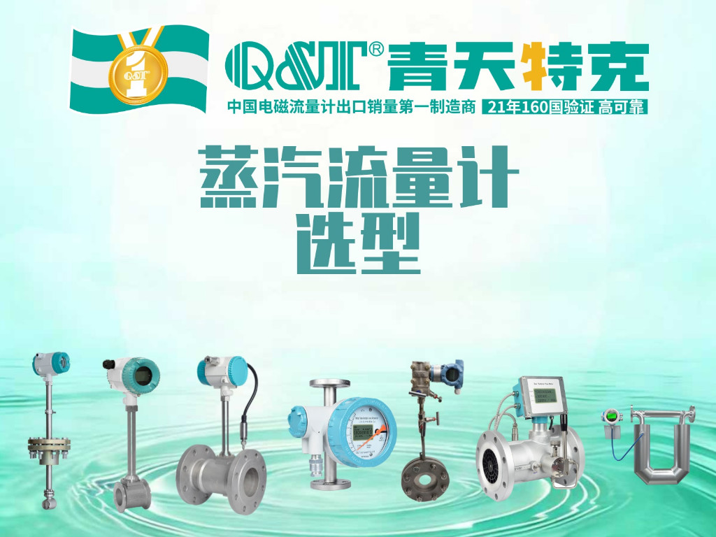 蒸汽流量计十大品牌：2026年选型综合参考/涡街、孔板、差压、超声波如何选