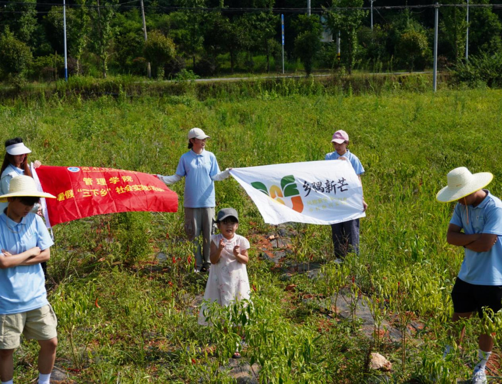 下沉椒田察实情 湖南信息学院学子以青春思路激活乡村特色农业