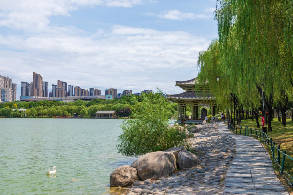 979379e0d381c4b77e3e58e818c868dbd752a92880a22a2794f0819f98f89ba7