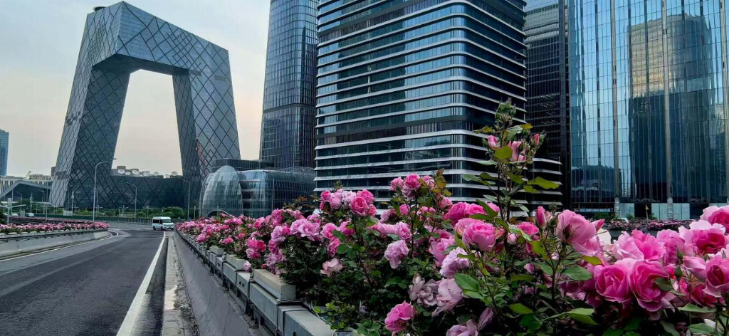 北京发布《城镇绿地智慧养护系统建设技术规范》,景天下参与主要起草,智慧管养进入标准化建设阶段