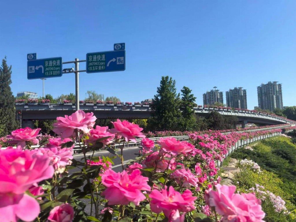 北京发布《城镇绿地智慧养护系统建设技术规范》,景天下参与主要起草,智慧管养进入标准化建设阶段