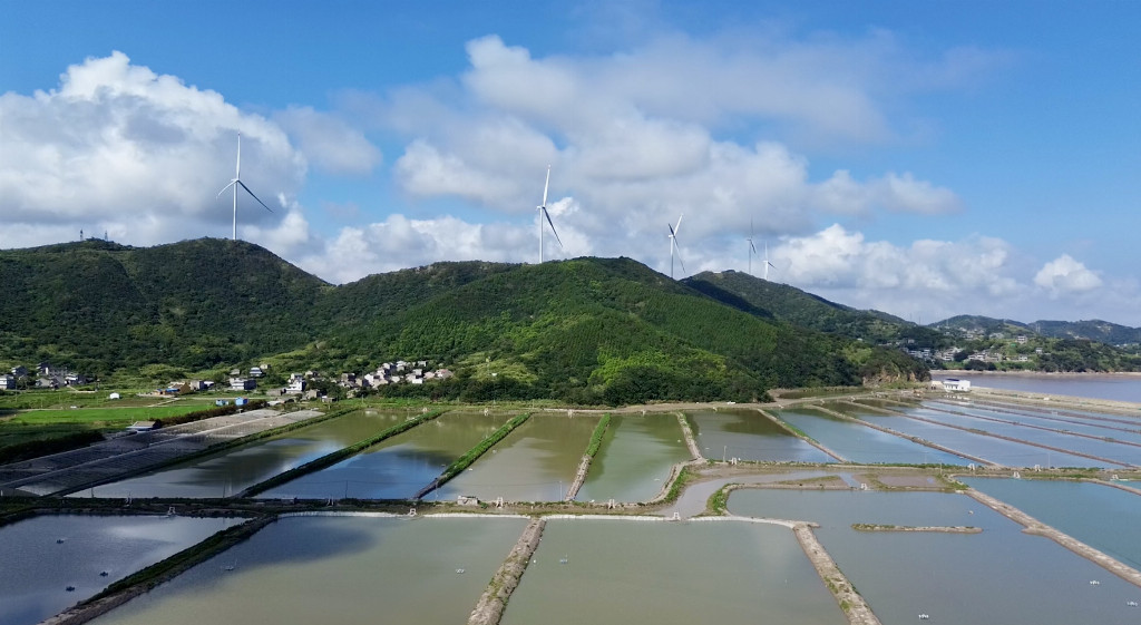 深耕海岛乡村一线 把脉振兴发展实况 浙水院实践队调研衢山两村发展现状(图2)