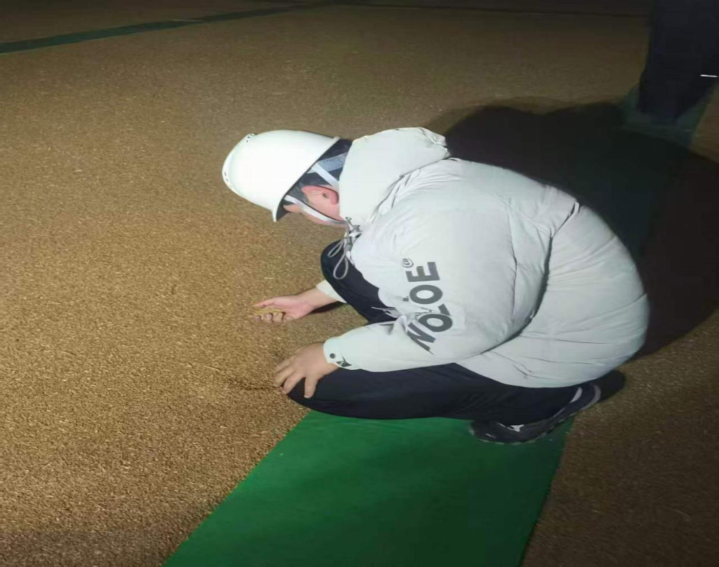 深耕“看不见”的防线 科技赋能“国之粮仓”——山东商务职业学院“藏粮于技”实践团