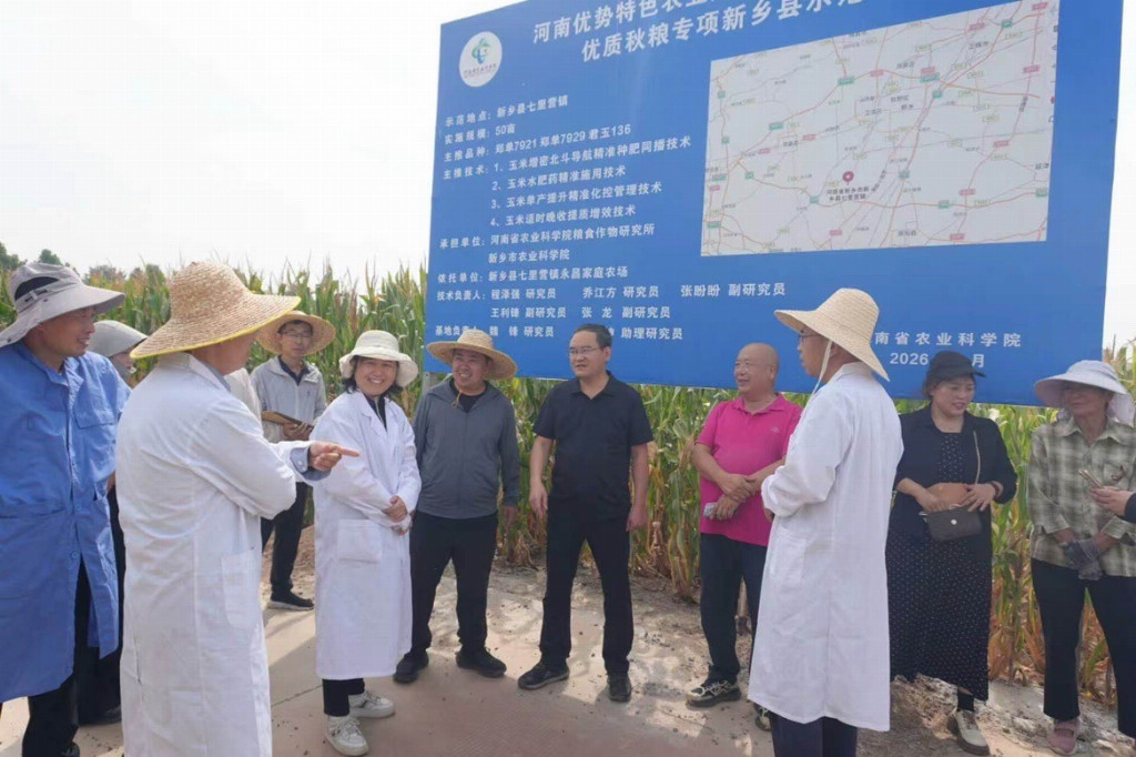 物理技术破解玉米密植瓶颈 等离子制剂解锁玉米高产新密码