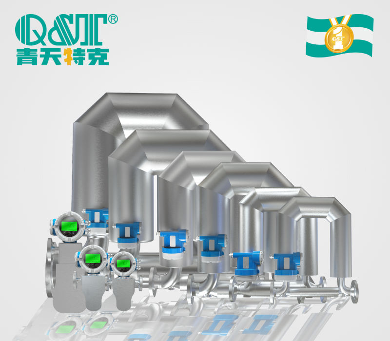 2026年国内质量流量计品牌怎么选?主要国产厂商与DN1–DN350口径段选型参考(图1)