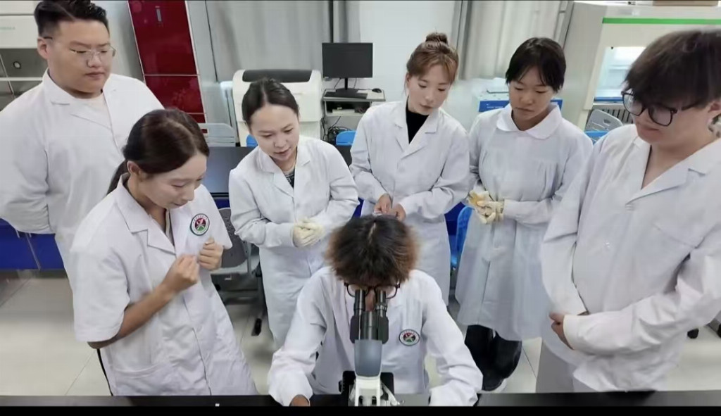 兴安职业技术大学“桦彩阿尔山”团队响应号召，全力推进非遗文创科创项目落地建设